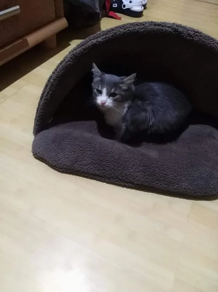 Снимка от Женя Ганева