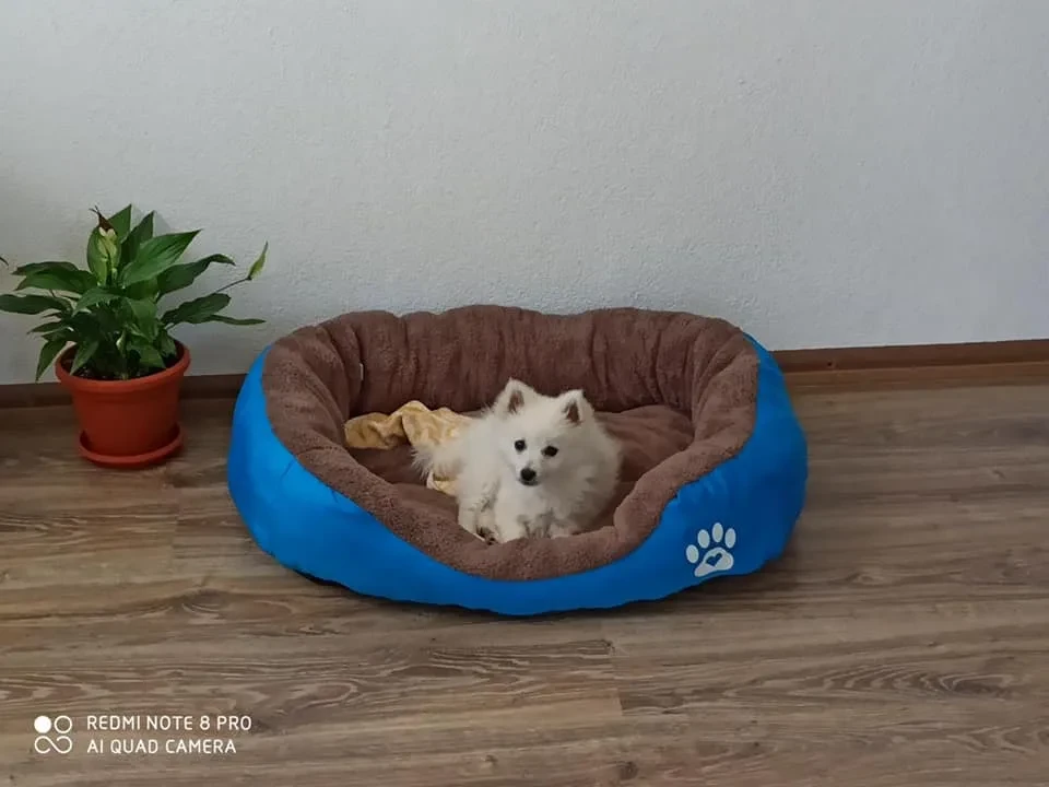 Снимка от Лъки