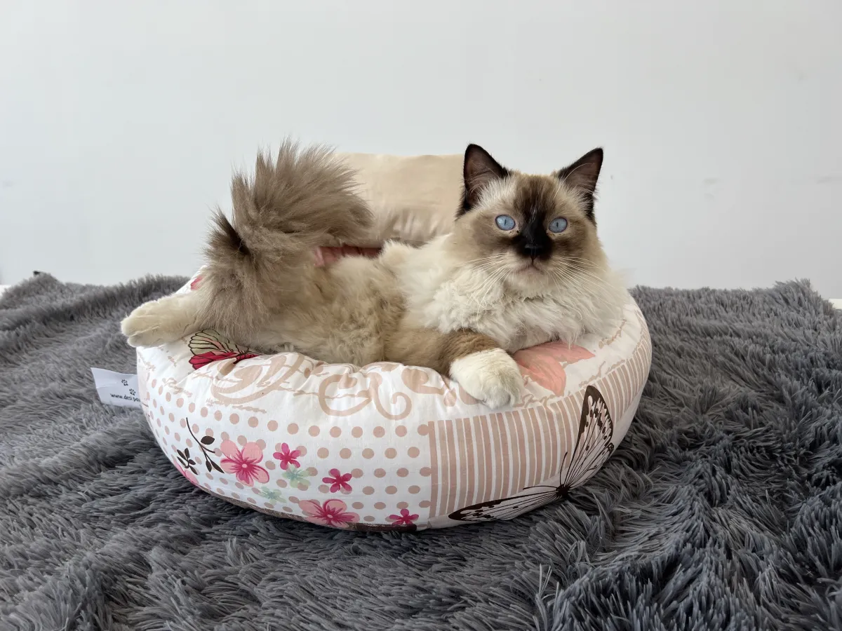 Кръгло легло за котки пеперуди - 60×60×23 см
