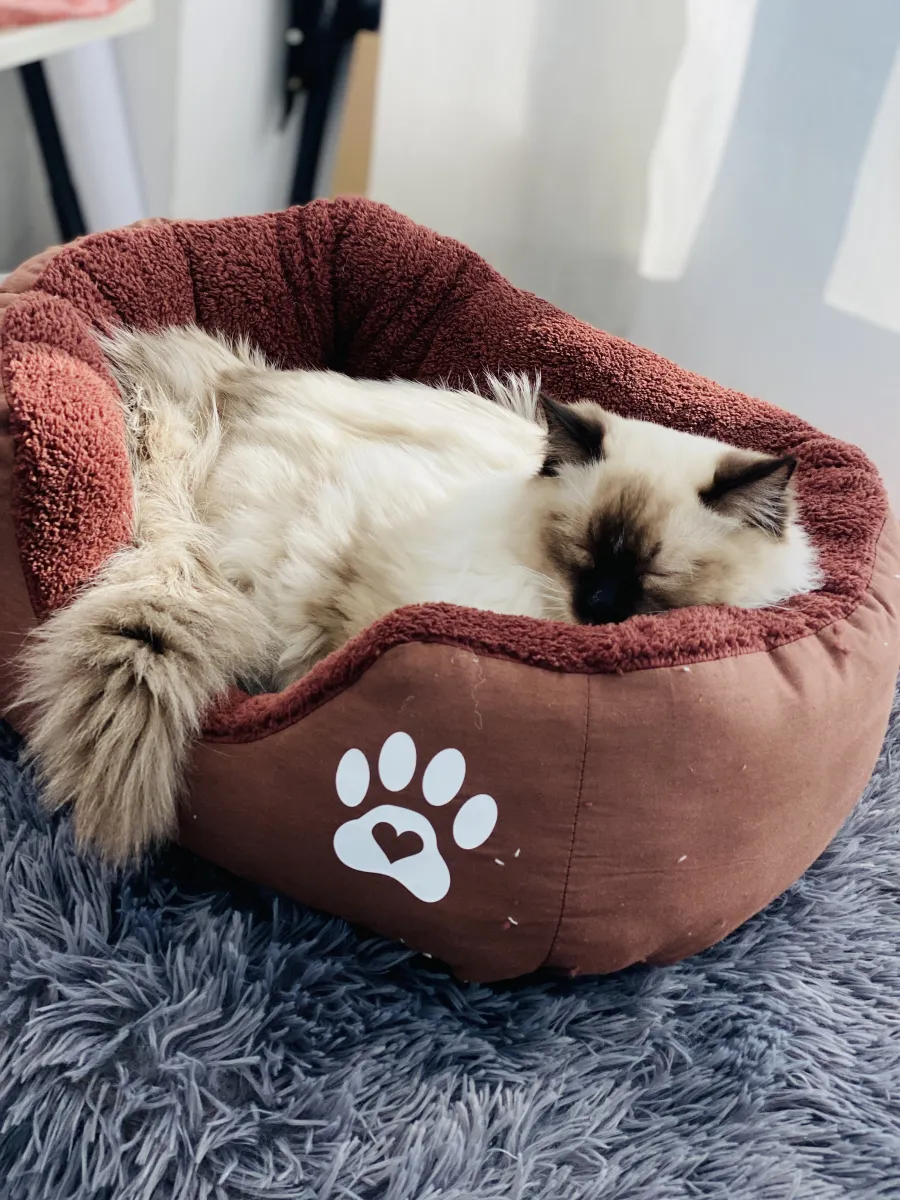Легло с лапичка за котки кафяв - S