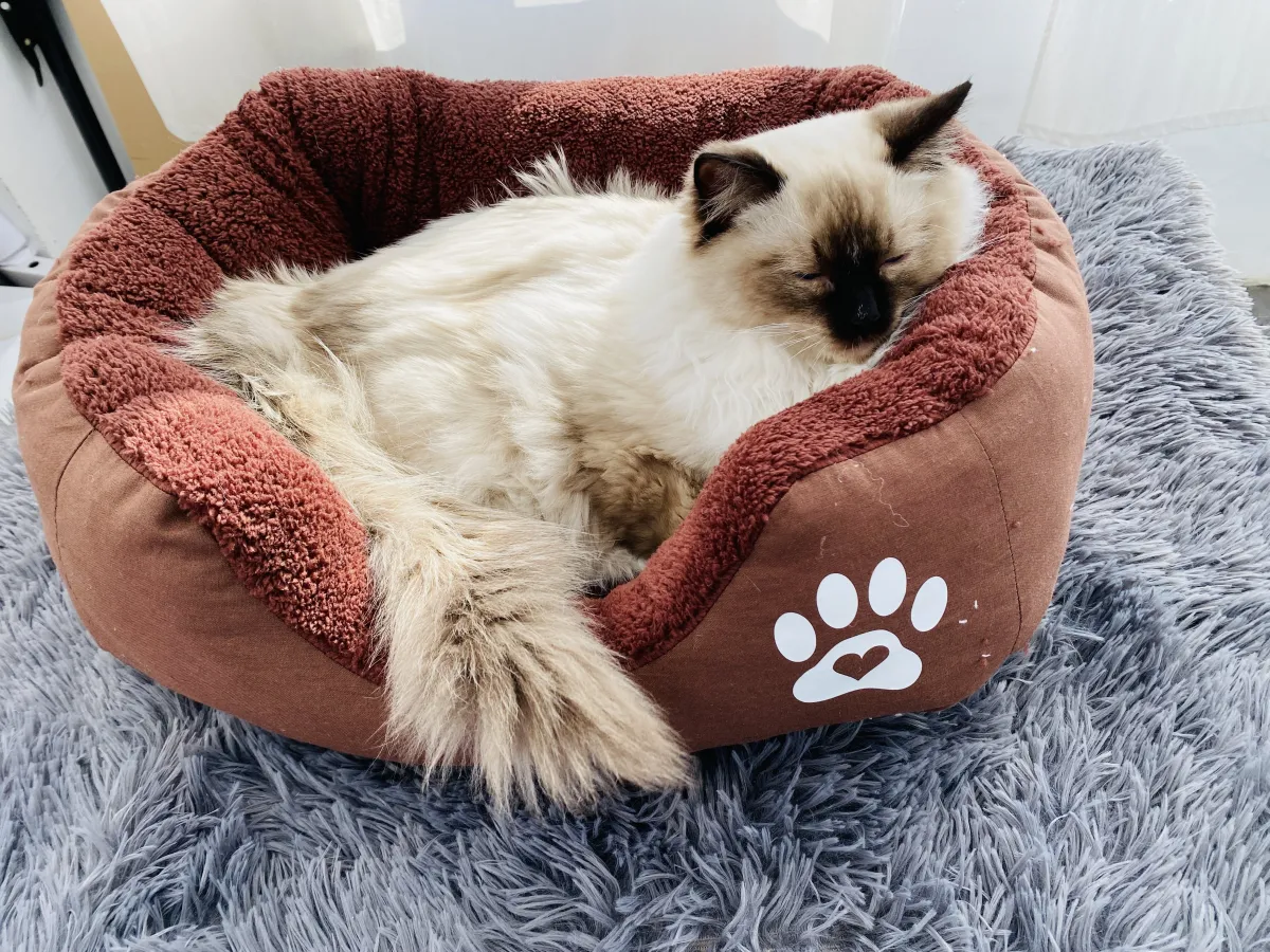 Легло с лапичка за котки кафяв - S