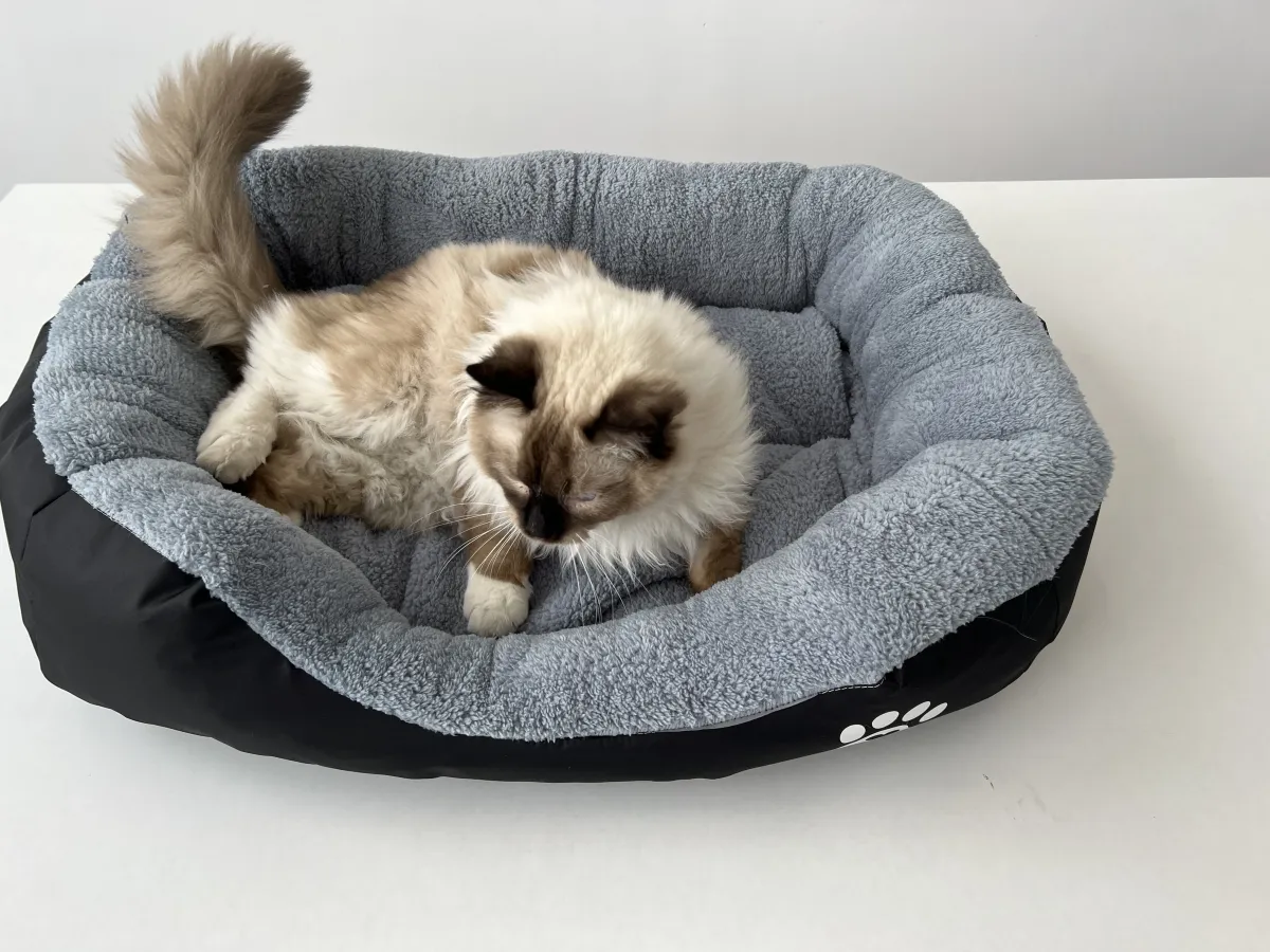 Легло с лапичка за котки черен - L