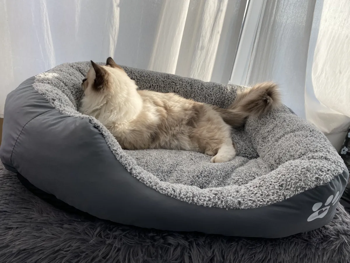 Легло с лапичка за котки сив - L