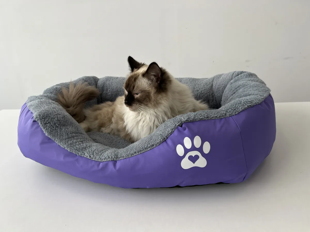Легло с лапичка лилав за котки - L