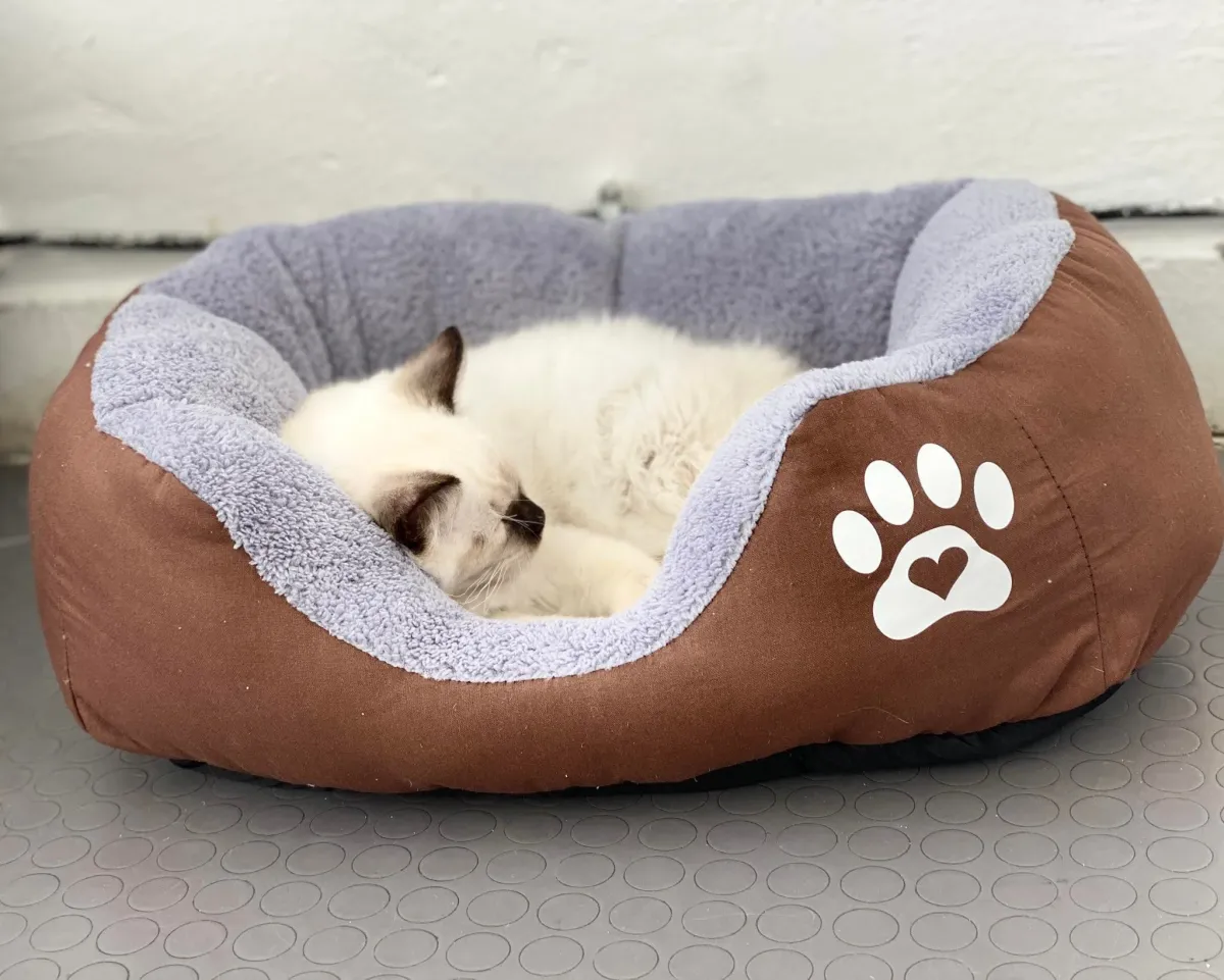 Легло с лапичка за котки кафяв - S