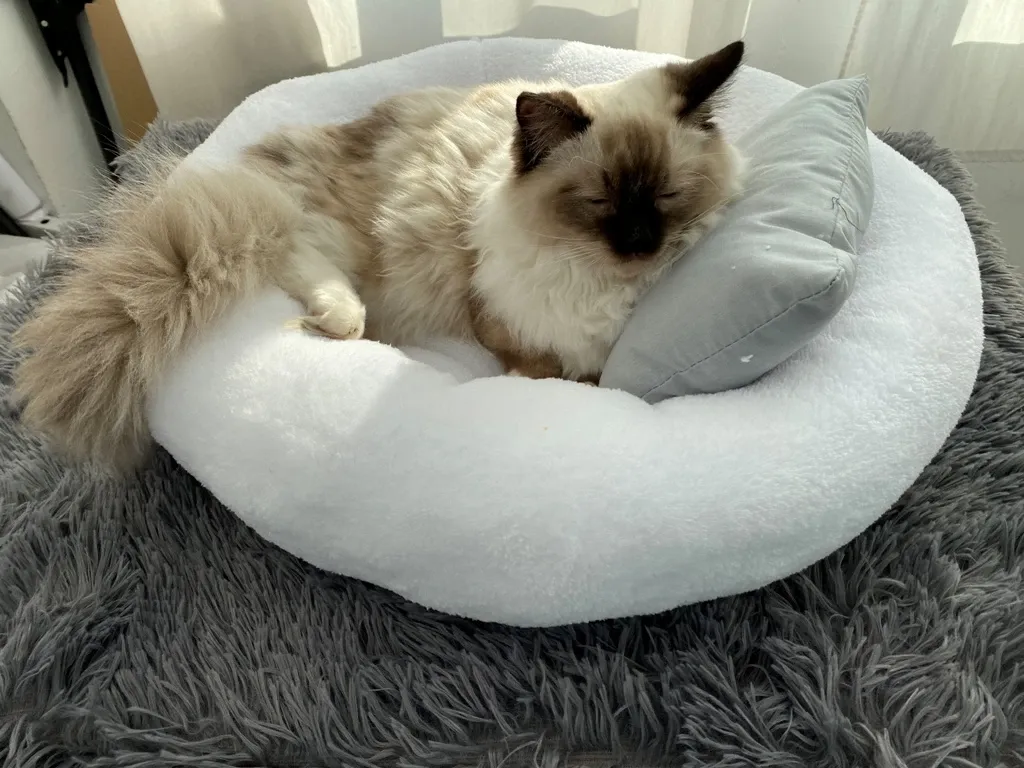 Кръгло легло за котки бяло - 40×40×23 см
