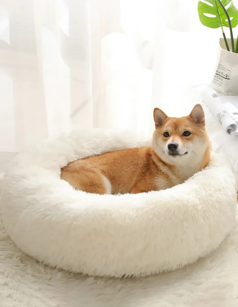 Кръгло легло за куче бяло - 60×60×23 см
