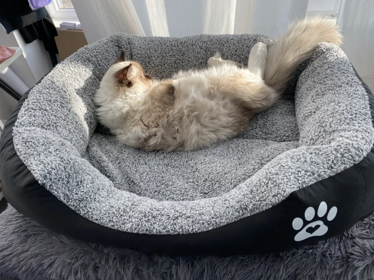 Легло с лапичка за котки черен - L