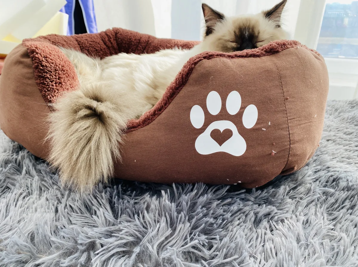 Легло с лапичка за котки кафяв - S