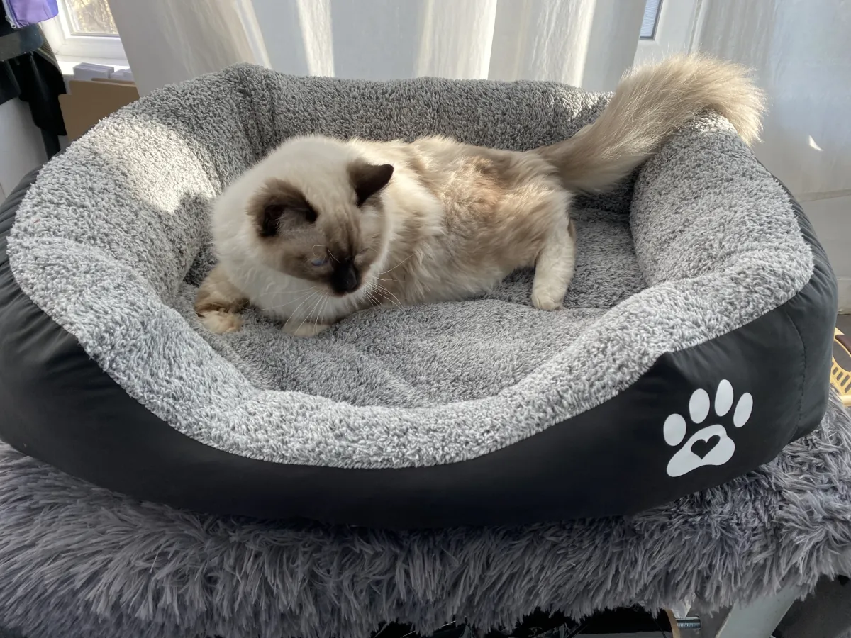 Легло с лапичка за котки черен - L