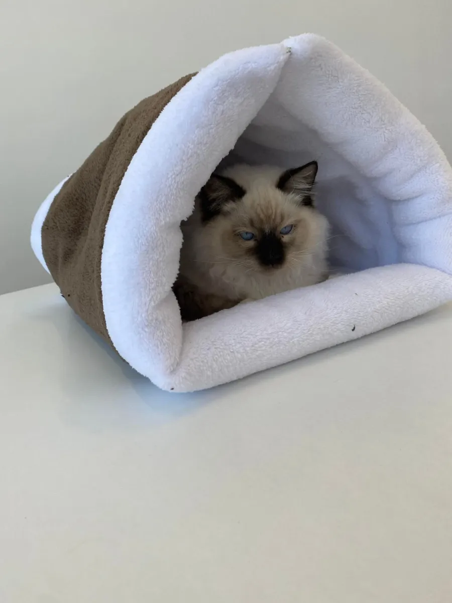 Плюшено легло за котки