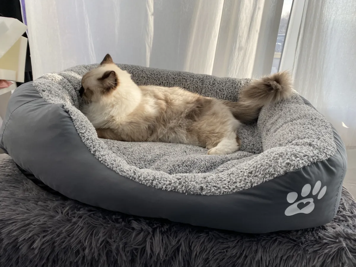 Легло с лапичка за котки сив - L