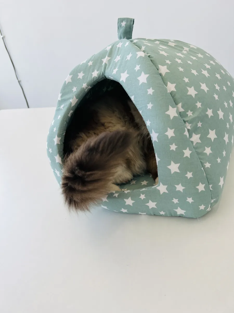 Котешка къща