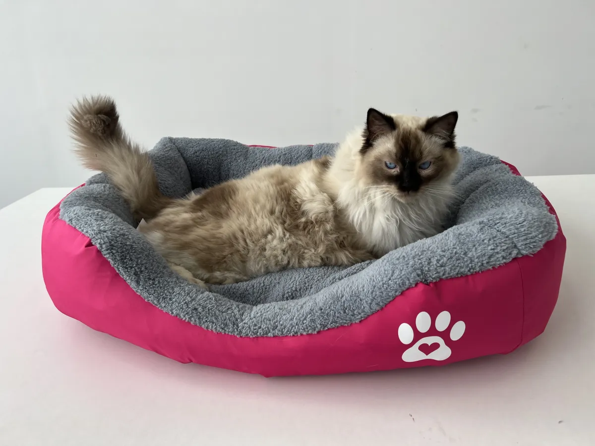 Легло с лапичка розов за котки - L