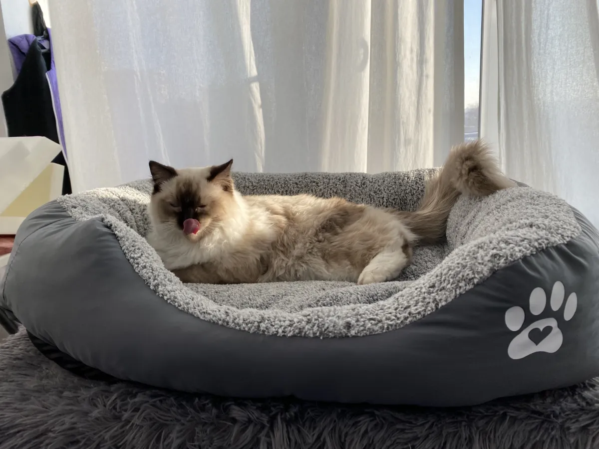 Легло с лапичка за котки сив - L