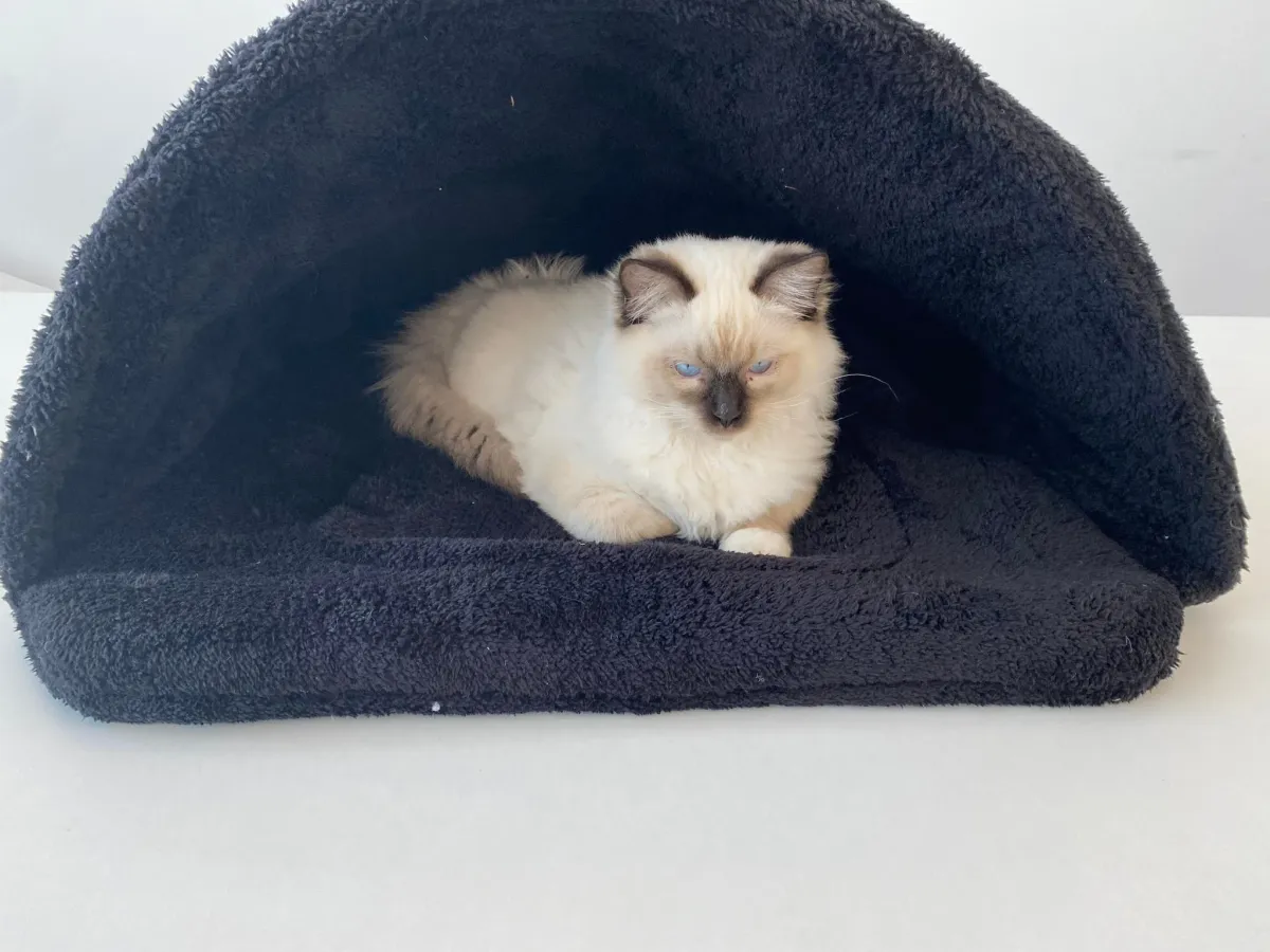 Легло-палатка за котка размер M - черно