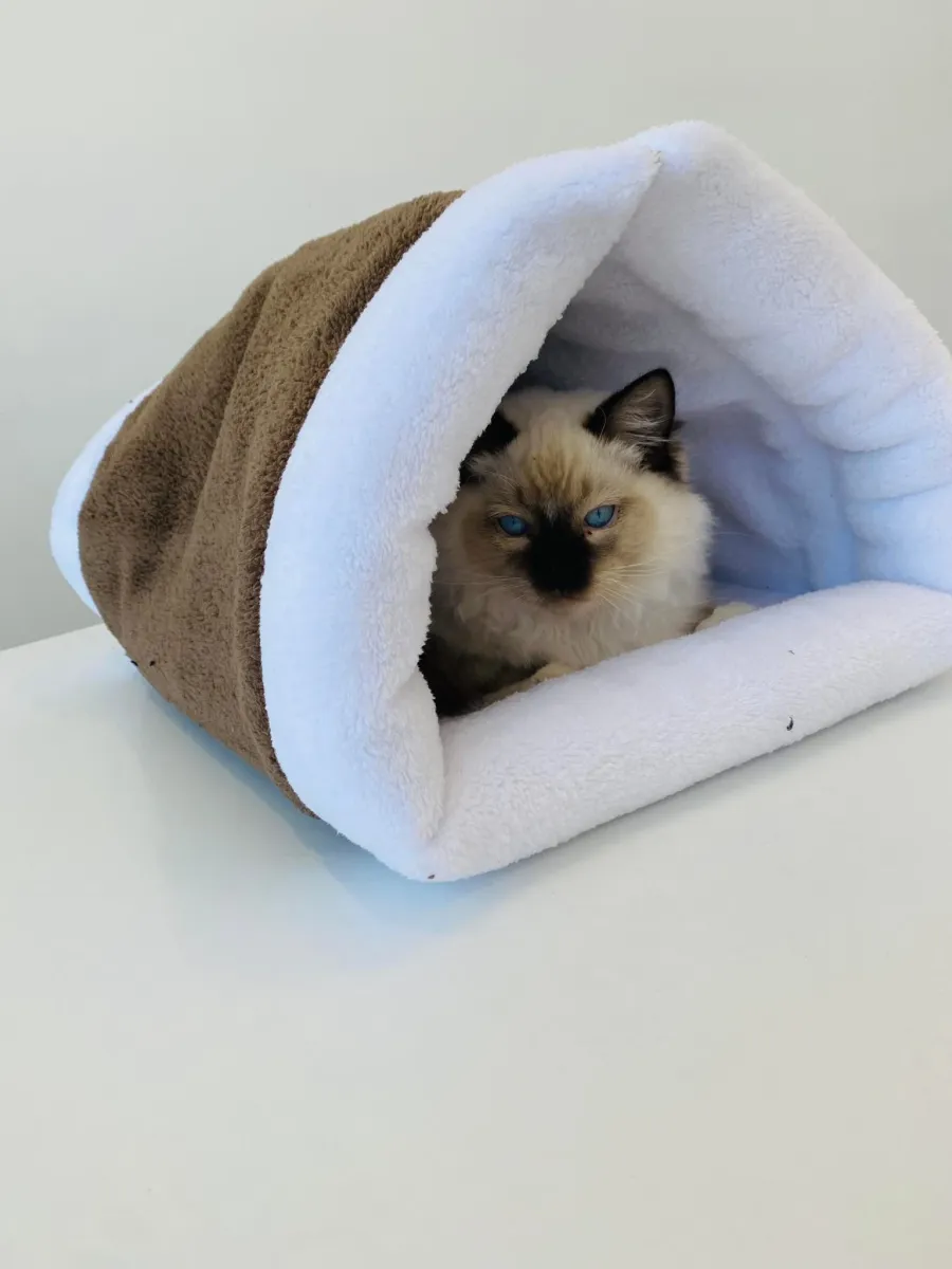 Плюшено легло за котки