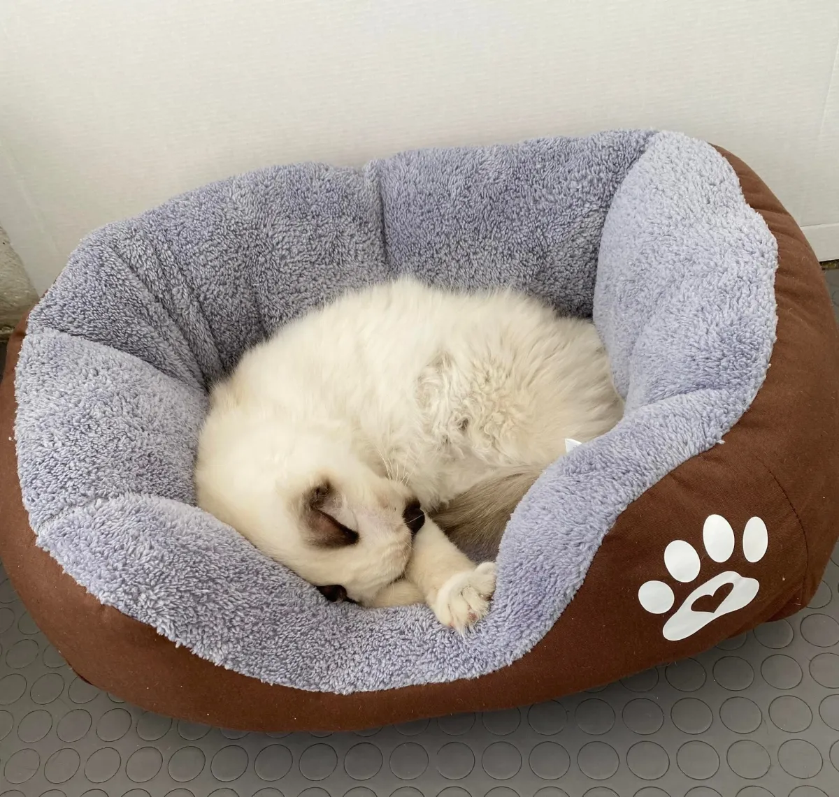 Легло с лапичка за котки кафяв - S