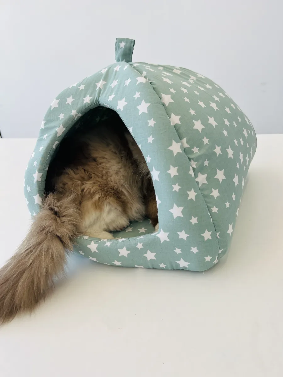 Котешка къща