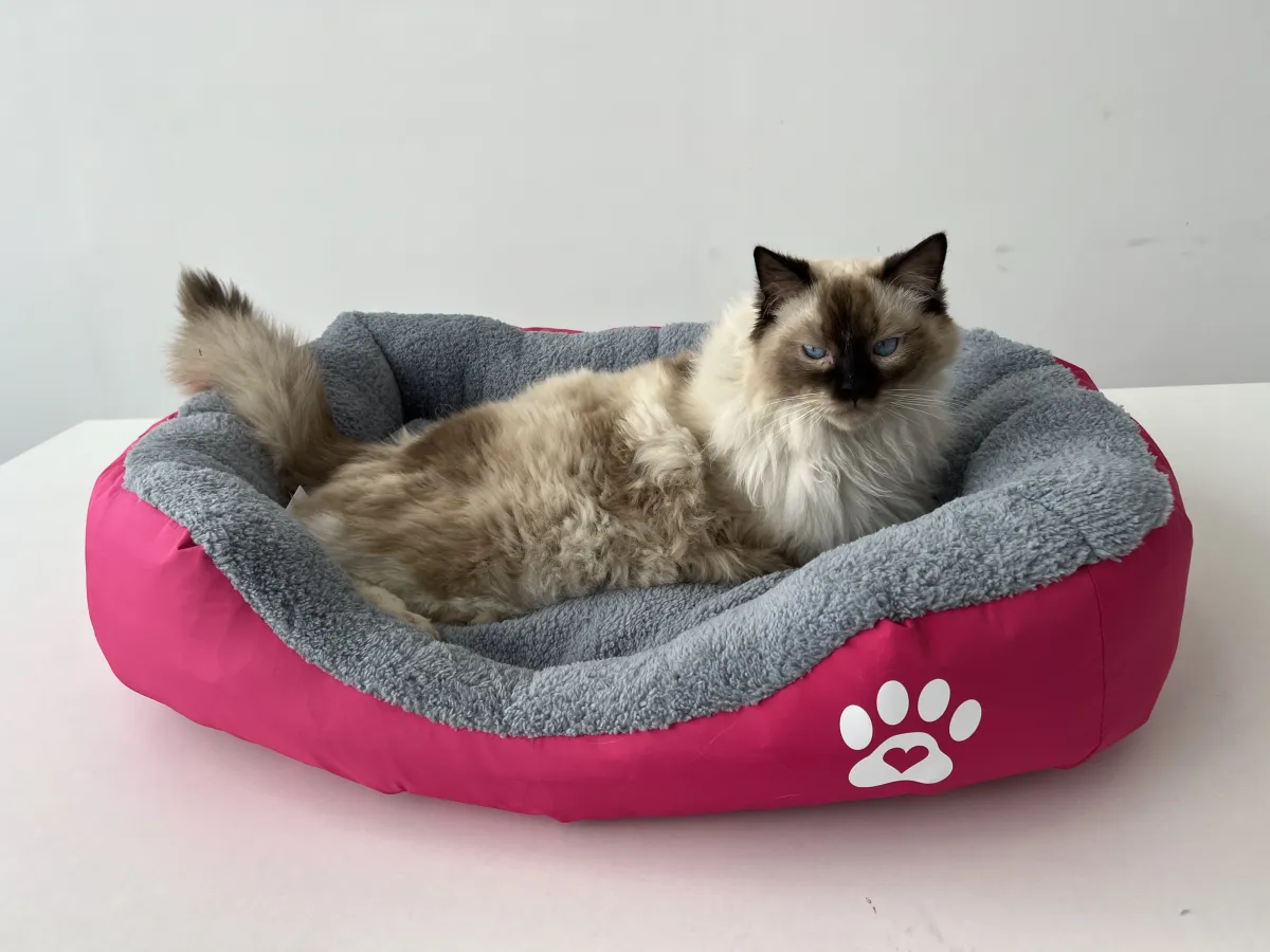 Легло с лапичка розов за котки - L