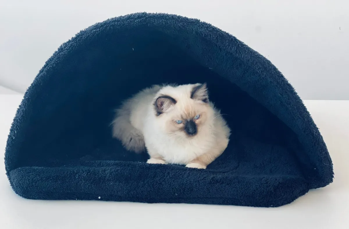 Легло-палатка за котка размер M - черно