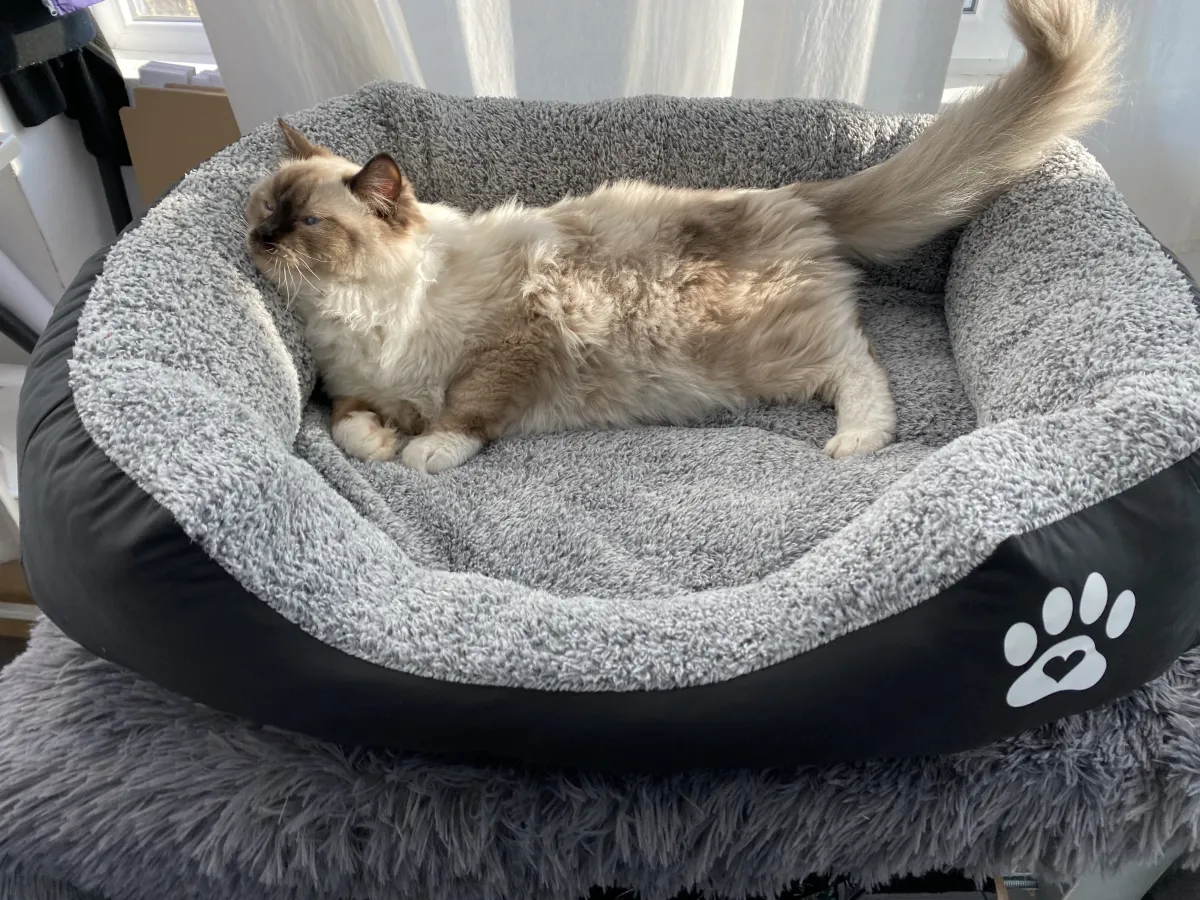 Легло с лапичка за котки черен - L