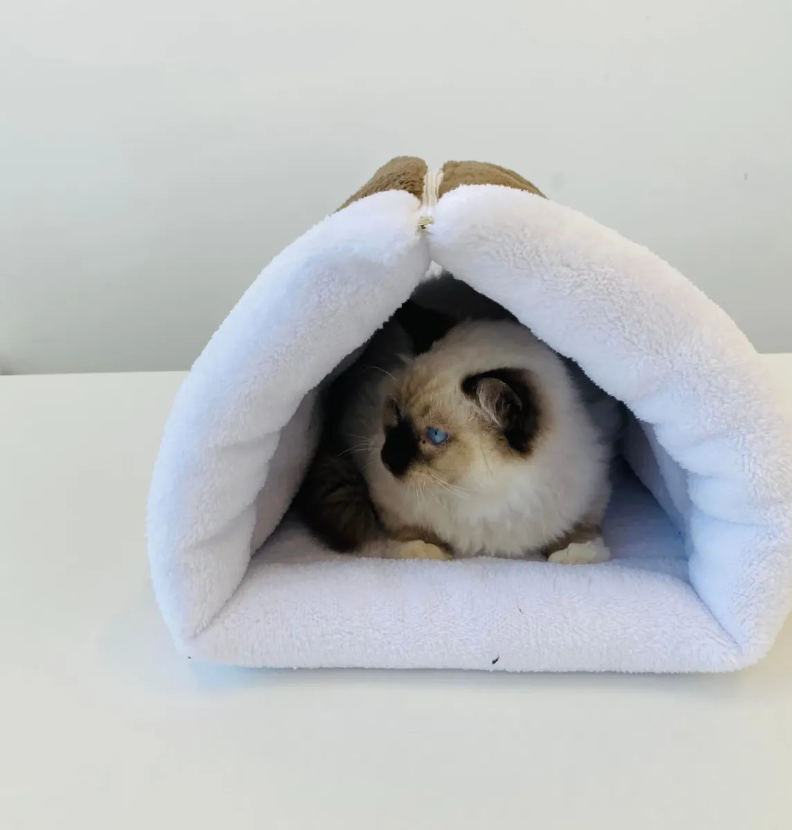 Плюшено легло за котки
