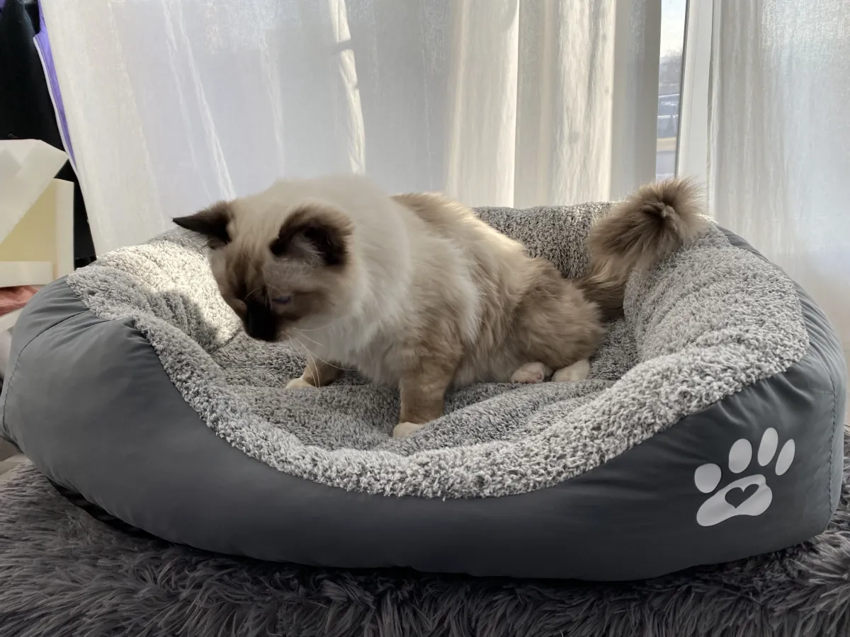 Легло с лапичка за котки сив - L