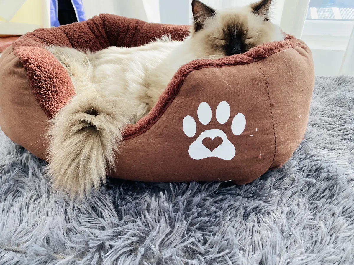Легло с лапичка за котки кафяв - S